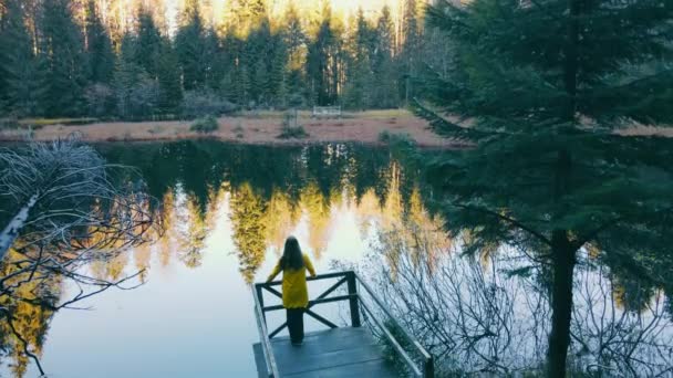 Dívka ve žlutém plášti stojí u jezera v nádherném tmavém lese. Dívka turista stojí na mostě v blízkosti malého jezera na vysočině. — Stock video