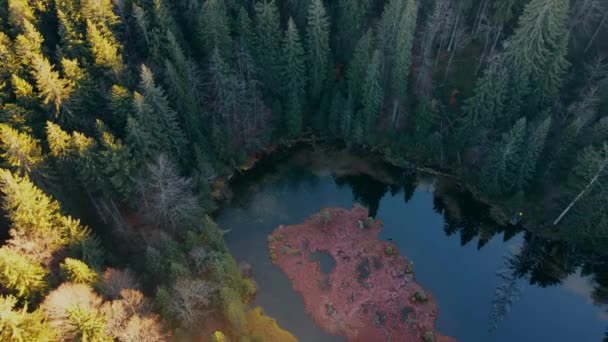 Vacker natur och en ensam sjö på toppen av ett berg i det vilda. Solstrålarna lyser upp trädens toppar. En vacker liten sjö på toppen av bergen i ukrainska Karpaterna. — Stockvideo
