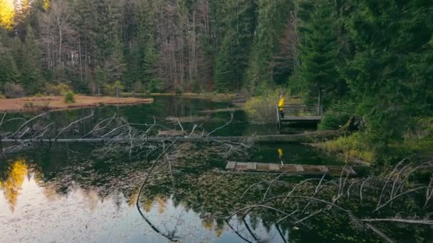 Дівчина в жовтому плащі стоїть біля озера в дивовижному темному лісі. Дівчина-турист стоїть на мосту біля невеликого озера в високогір'ї . — стокове відео