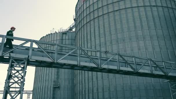 Agricultor agrónomo que comprueba los tanques de almacenamiento de grano, soja y trigo. — Vídeo de stock