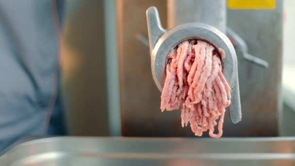 Carne macinata industriale in un grande tritacarne. Creazione di carne macinata. — Video Stock