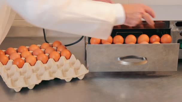 Desinfectie en sterilisatie van kippeneieren in een speciaal apparaat. De kok doet kippeneieren in een ei desinfecterend middel. — Stockvideo