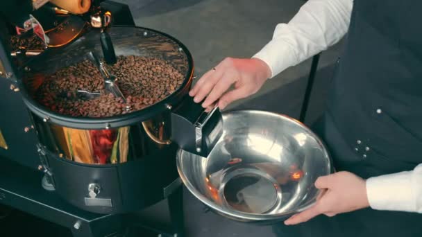 Kahve makinesinde kavrulmuş kahve çekirdekleri. Kahveci kavrulmuş kahveyi bir kaseye doldurur. — Stok video