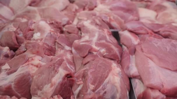 Frisches rohes Fleisch in einem Schaufenster. Panorama der Fleischprodukte in Metallbehältern. — Stockvideo