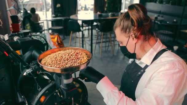 O barista derrama grãos de café crus na torradeira de café. Grãos crus são mergulhados em uma torradeira de café. — Vídeo de Stock