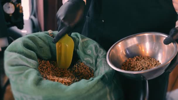 Råa kaffebönor. En man samlar råa naturliga kaffebönor från en påse och lägger dem i en skål. — Stockvideo