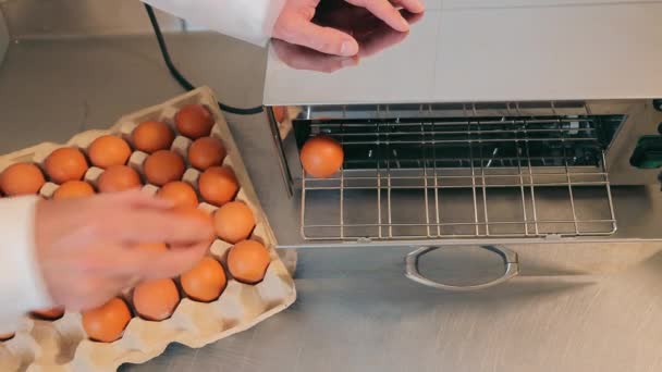 Tavuk yumurtalarını sterilizasyon ve dezenfeksiyon için bir cihazda saklıyoruz. Çiftçi cihaza yumurta bırakıyor.. — Stok video