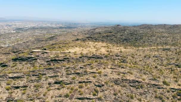 Dobbins gözcülük yapıyor. South Mountain Park ve Preserve. Arizona Ulusal Parkı 'nın dağlarında bir sürü uzun kaktüs yetişiyor.. — Stok video