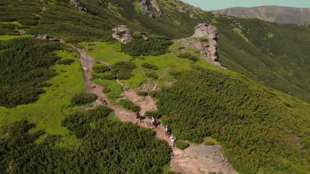 Quatre touristes montent en été. Vue aérienne. Randonnée dans les montagnes. Un groupe de touristes monte au sommet de la montagne. Beauté pittoresque des montagnes d'une vue à vol d'oiseau — Video