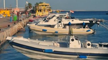 Mısır, Hurghada - Şubat 1Mısır, Hurghada - Şubat 18, 2022. Sokak yemeği. Şef sokakta et hazırlar. Yemek yaparken dumanlar yükseliyor. Şef ızgarada tavuk eti kızartıyor. 8, 2022