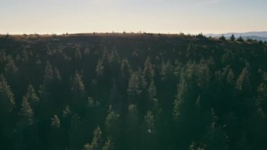 Dağ sırasının üzerinden hava uçuşu ve izleyicinin önünde açılan kaz manzarasının manzarası. Dağların ardında açılan Ukrayna Karpatlarının güzel doğası.