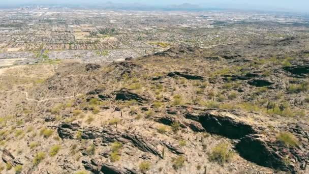 Dobbins gözcülük yapıyor. South Mountain Park ve Preserve. Arizona Ulusal Parkı 'nın dağlarında bir sürü uzun kaktüs yetişiyor.. — Stok video