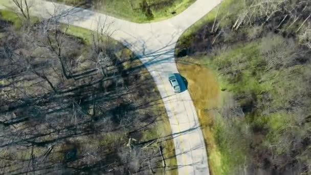 Aerial Top view of a car driving on a narrow park road. Travel by car through the woods. — Stockvideo