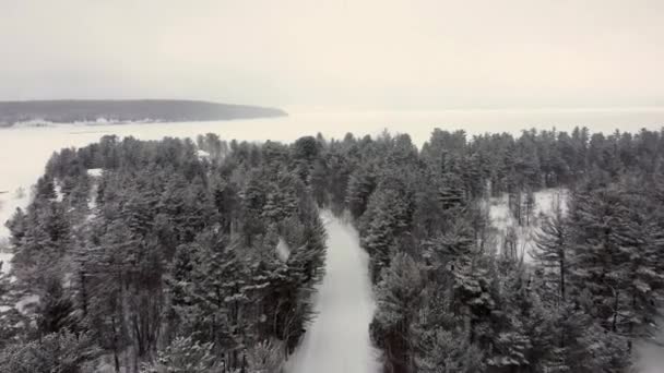 Vista aérea Paisaje invernal en un día nublado nevado de un bosque de hadas y un lago de invierno congelado. — Vídeo de stock