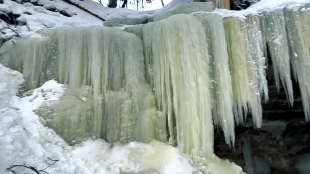 Enorme ijspegels bevroren voor de grot. Waterval in het bevroren bos. — Stockvideo
