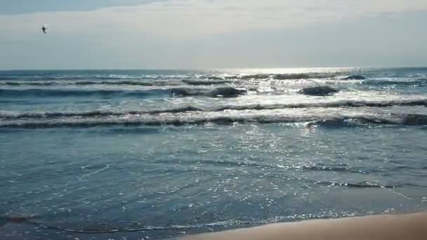 Θαλασσινό τοπίο την ημέρα. Κύματα έρχονται στην ακτή. Το κύμα της θάλασσας ξεπλένει την αμμώδη ακτή. Οι ακτίνες του ήλιου λάμπουν στο θαλασσινό νερό.. — Αρχείο Βίντεο