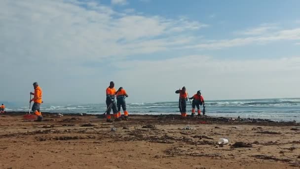Spanje. Valencia. 22.05.2022 Schoonmaak van het strand door openbare nutsbedrijven. Afval aan land gebracht tijdens de storm. — Stockvideo