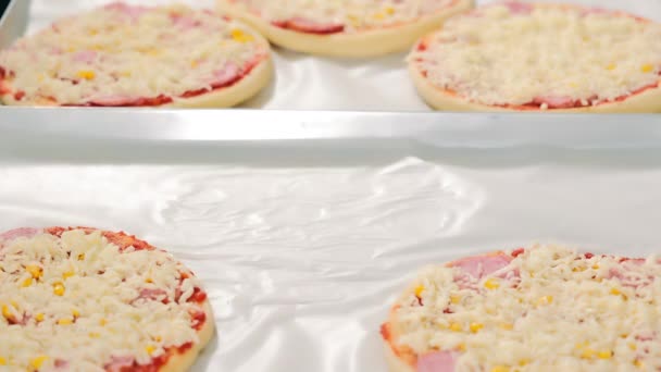 Pizzę Dla Małych Dzieci Umieszcza Się Blasze Dalszego Pieczenia Kilka — Wideo stockowe