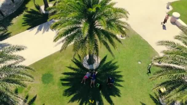 Лос Анджелес Сша Июня 2022 Года Люди Отдыхают Пальмами Тени — стоковое видео