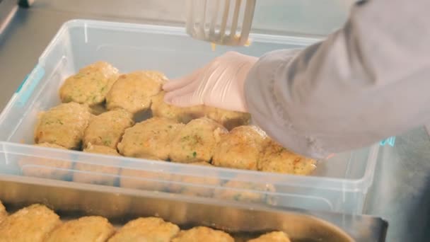 Vaření Kotlety Zblízka Šéfkuchař Dává Kotlety Plastových Nádob Pro Bezdomovce — Stock video