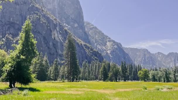 ヨセミテ国立公園の美しい自然 大きな岩の崖と晴れた日の緑の牧草地は素晴らしい風景を形成します アメリカのカリフォルニア州の山の中の夏 — ストック動画
