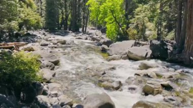 Yosemite Ulusal Parkı 'nda küçük bir nehir. Yosemite Şelalesi 'nden sonra taşlı dağ deresi