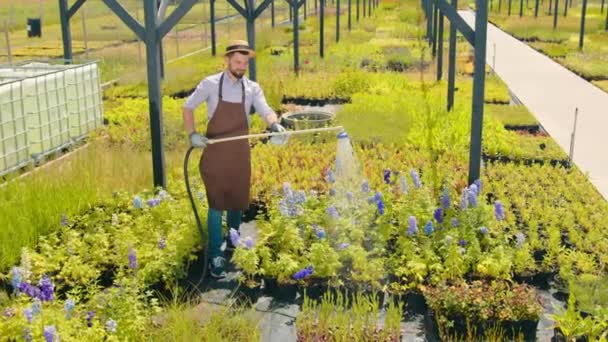 Άνδρας Κηπουρός Ποτίζει Λουλούδια Και Βότανα Φροντίδα Φυτών Φροντίδα Για — Αρχείο Βίντεο