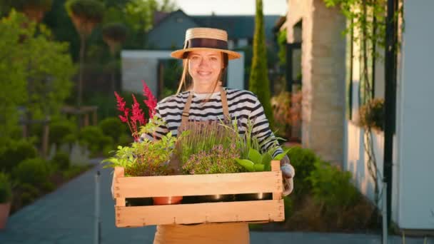 Portrét Zahradnice Žena Drží Dřevěnou Krabici Rostlinami Bylinkami Květinami Péče — Stock video