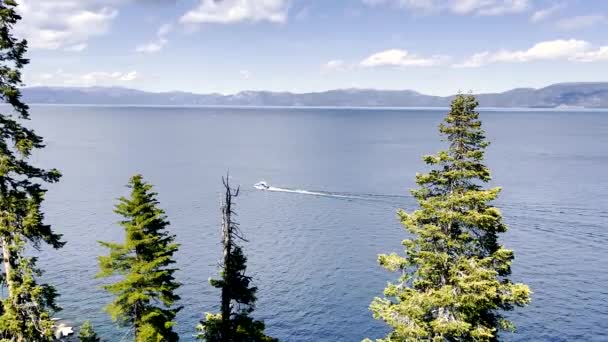 Lake Tahoe California Červen 2022 Spojené Státy Pohled Mezi Stromy — Stock video