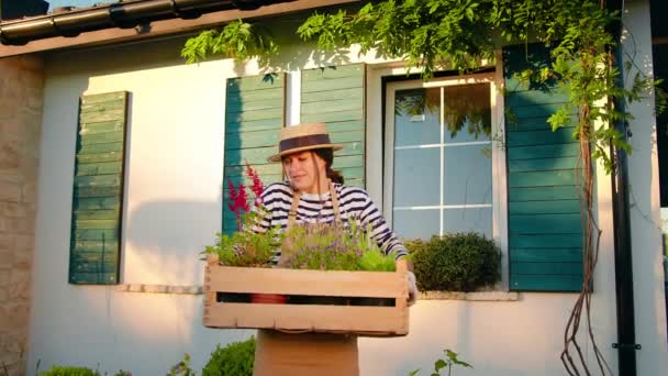 Jardinière Debout Près Maison Avec Une Boîte Fleurs Herbes Une — Video