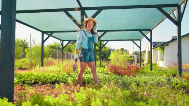 Zahradnice Zkoumá Rostliny Byliny Zahradnickém Pozemku Dívka Bělošského Vzhledu Čepici — Stock video
