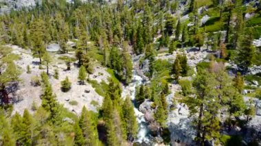 Dağlardaki hızlı bir nehrin havadan görünüşü köknar ağaçları ve taşlar arasında akıyor. Kayalık dağların dağlık doğası.