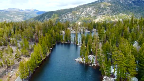 Aerial Flight Lake Mountains California Stones Christmas Trees Shore Clean — Vídeos de Stock