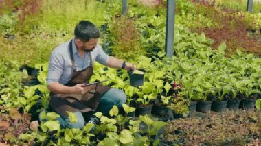 A florist, a gardener who grows herbs and plants, inspects the area with plants and records information on a tablet