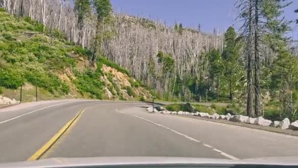 Вид Вікна Автомобіля Дороги Горах Проходить Через Національний Парк Каліфорнії — стокове відео