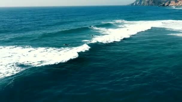 Aerial View Fly Surfing Coast Pacific Ocean Surfers Waiting Wave — 图库视频影像