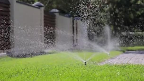 Automatic Watering Green Lawn Private House Small Drops Water Glisten — Stockvideo