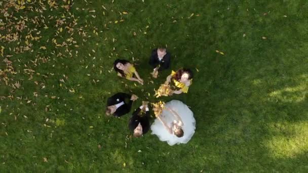 Aerial View Happy Wedding Couple Throws Leaves Beautiful Autumn Park — Stockvideo
