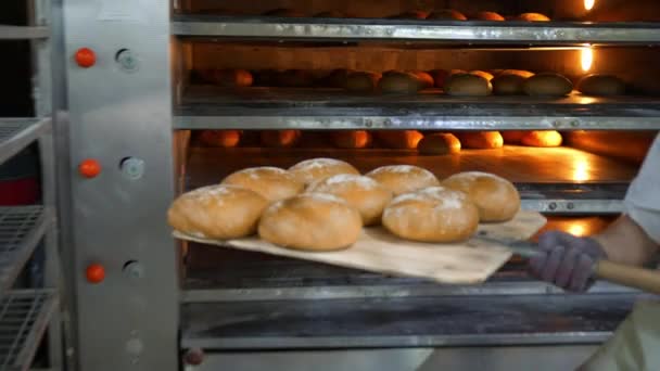 Chef Elimina Del Horno Los Productos Panadería Recién Horneados Pan — Vídeo de stock