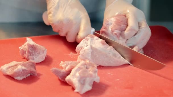 Close Female Hands Cutting Pieces Meat Pork Slicing Female Hands — 비디오