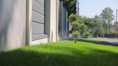 Automatic watering of a green lawn near the fence of the house on a sunny day. Drops of water grow green grass