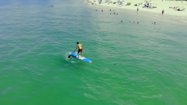 Εναέρια Άποψη Ένας Άνθρωπος Μαθαίνει Κολυμπά Μια Σανίδα Sap Κοντά — Αρχείο Βίντεο