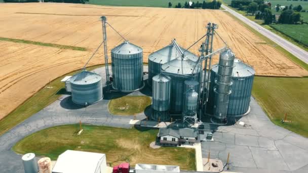 Aerial View Grain Wheat Soybean Storage Elevators Located Wheat Field — Stock Video