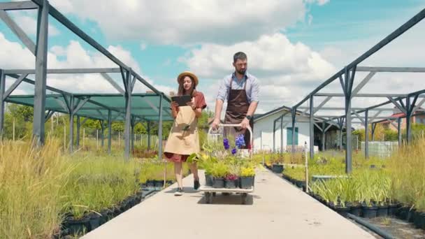 プロットは2人の庭師 男性と女性によって検査されます タブレットを使用した植物の説明とサイトからの植物やハーブの収集とその輸送 — ストック動画