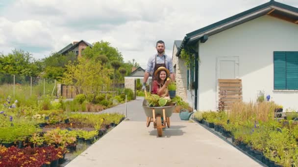 Los Jardineros Divierten Juntos Hombre Lleva Una Mujer Una Carretilla — Vídeo de stock