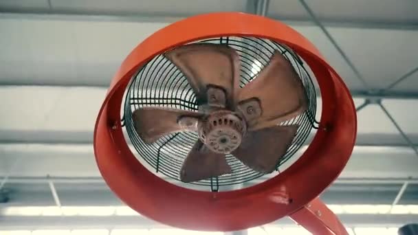Ipari Ventilátor Amely Hűtésre Dolgozik Termelésben Ventillátorlapátok Gyorsan Forognak — Stock videók