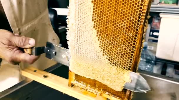 Pszczelarz Odpieczętować Goneytsomb Noże Otwierają Miód Miodowy Ramie Zrobionej Pszczelego — Wideo stockowe