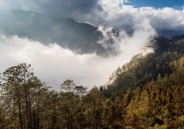 Sapa 'da zirve, Lao Cai, Vietnam. Bu sis ve bulutlarda çok güzel bir yoldur. Sapa ünlü bir turizm merkezidir.