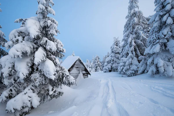 Geweldig Winterlandschap Met Houten Hut Bevroren Dennenbos — Stockfoto