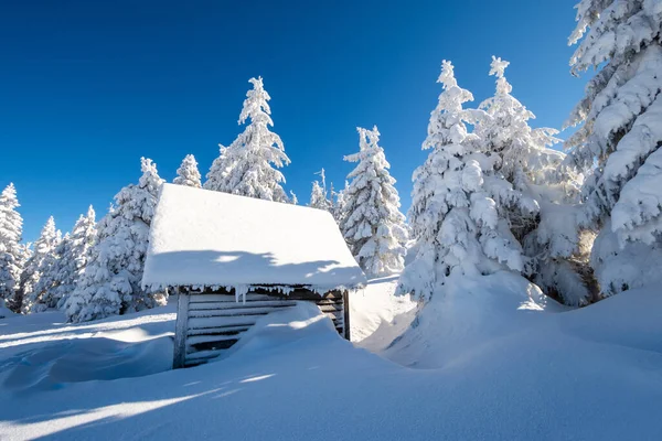 Geweldig Winterlandschap Met Houten Hut Bevroren Dennenbos Tijdens Zonnige Dag — Stockfoto